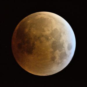 Lunar eclipse, image 0313